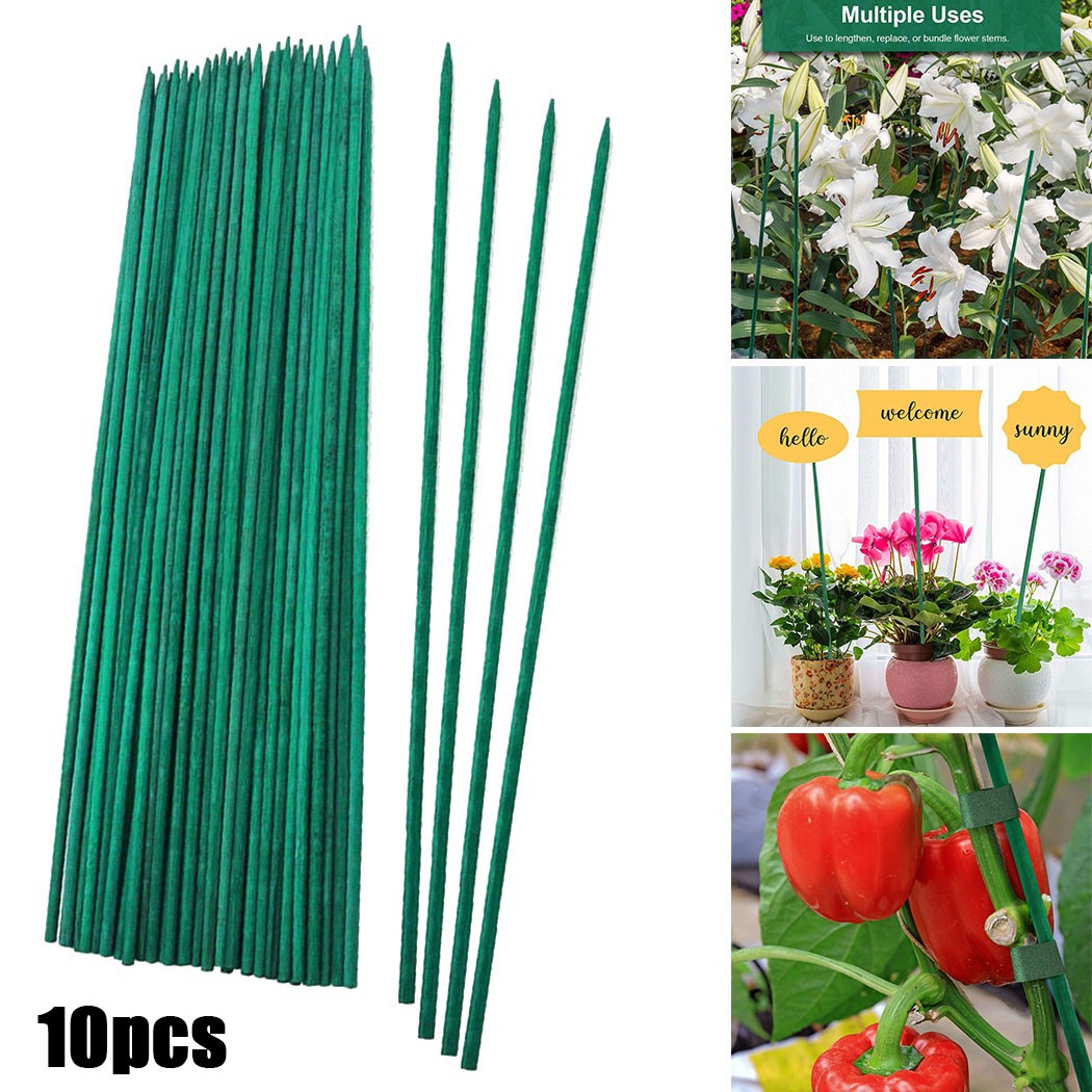 10pcs 40cm Green Plant Support - Florist Supp incelemesi ve fiyatı