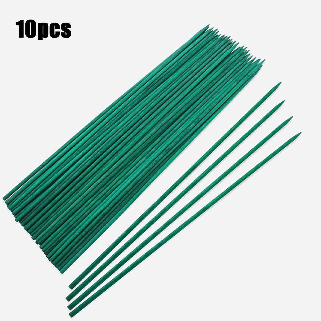 10pcs 40cm Green Plant Support - Florist Supp incelemesi ve fiyatı