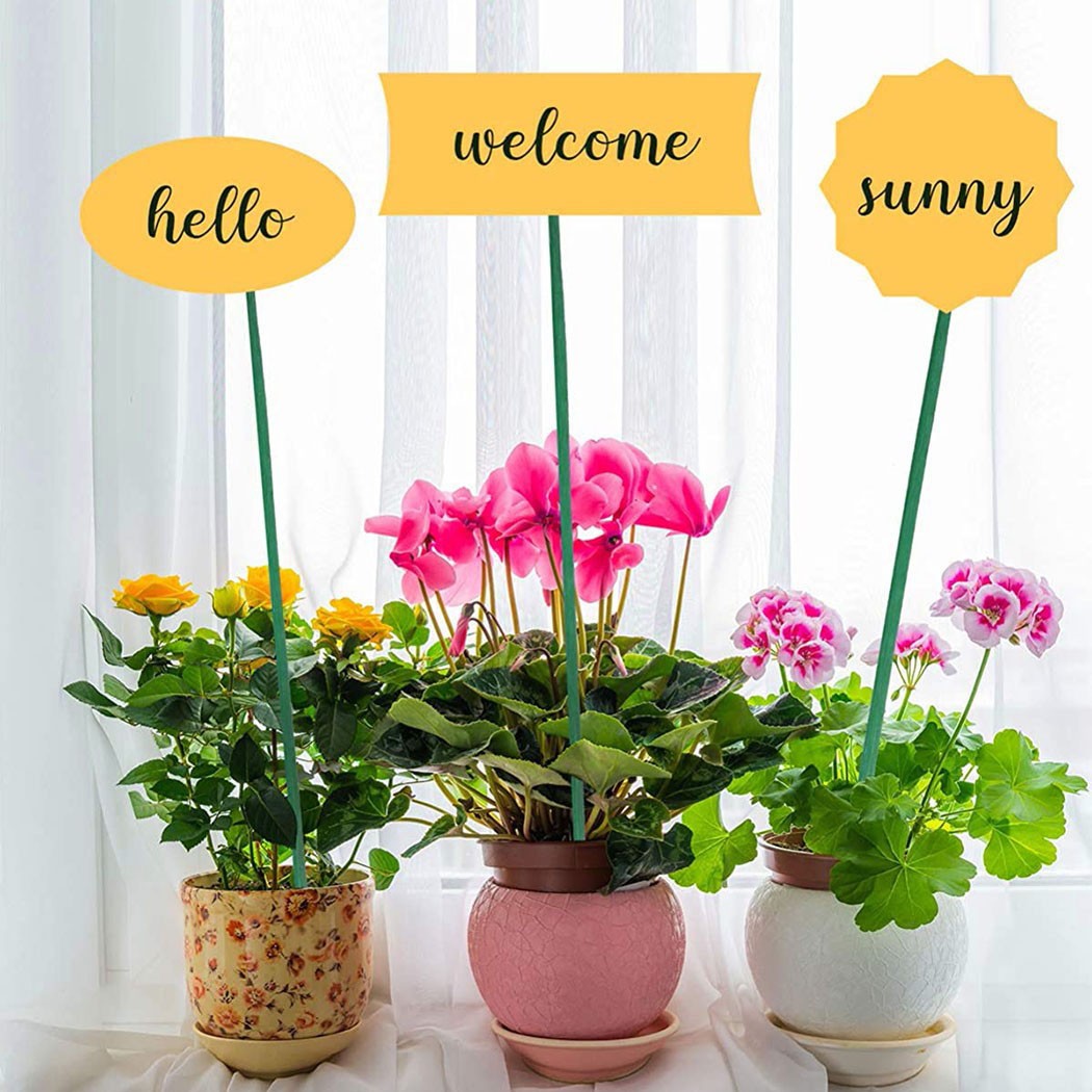 10pcs 40cm Green Plant Support - Florist Supp incelemesi ve fiyatı