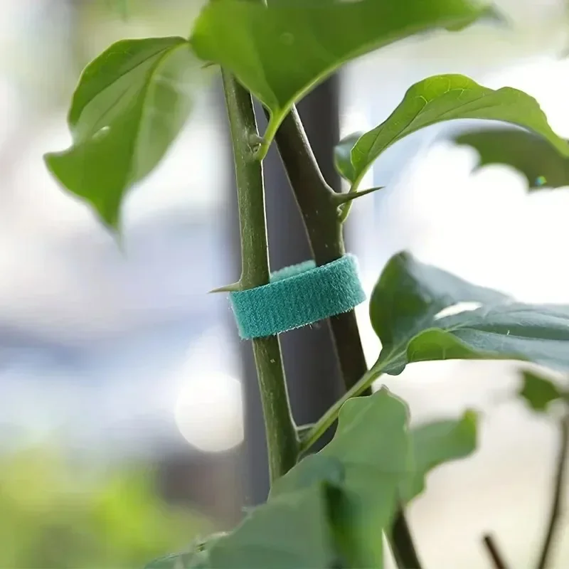 Garden Tape Nylon Cable Tie fo - Florist Supp incelemesi ve fiyatı