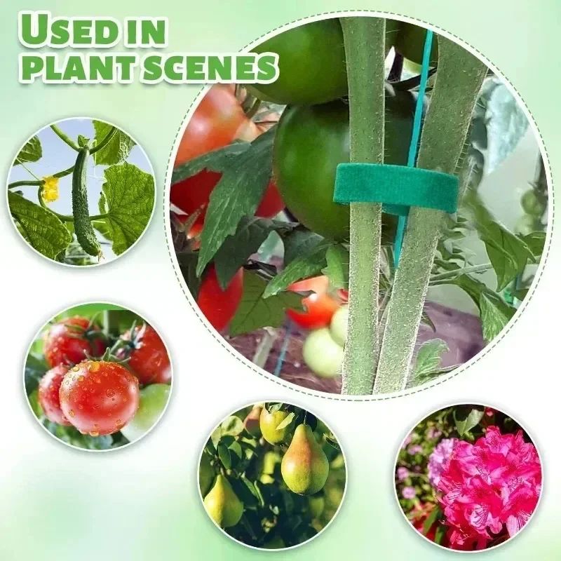 Garden Tape Nylon Cable Tie fo - Florist Supp incelemesi ve fiyatı