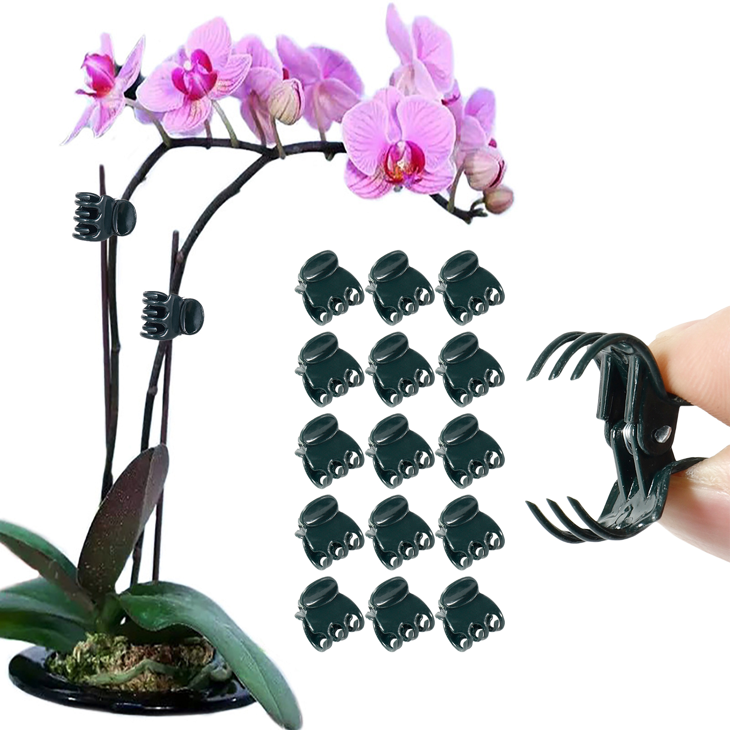 50/100Pcs Plant Clips Butterfl - Florist Supp incelemesi ve fiyatı