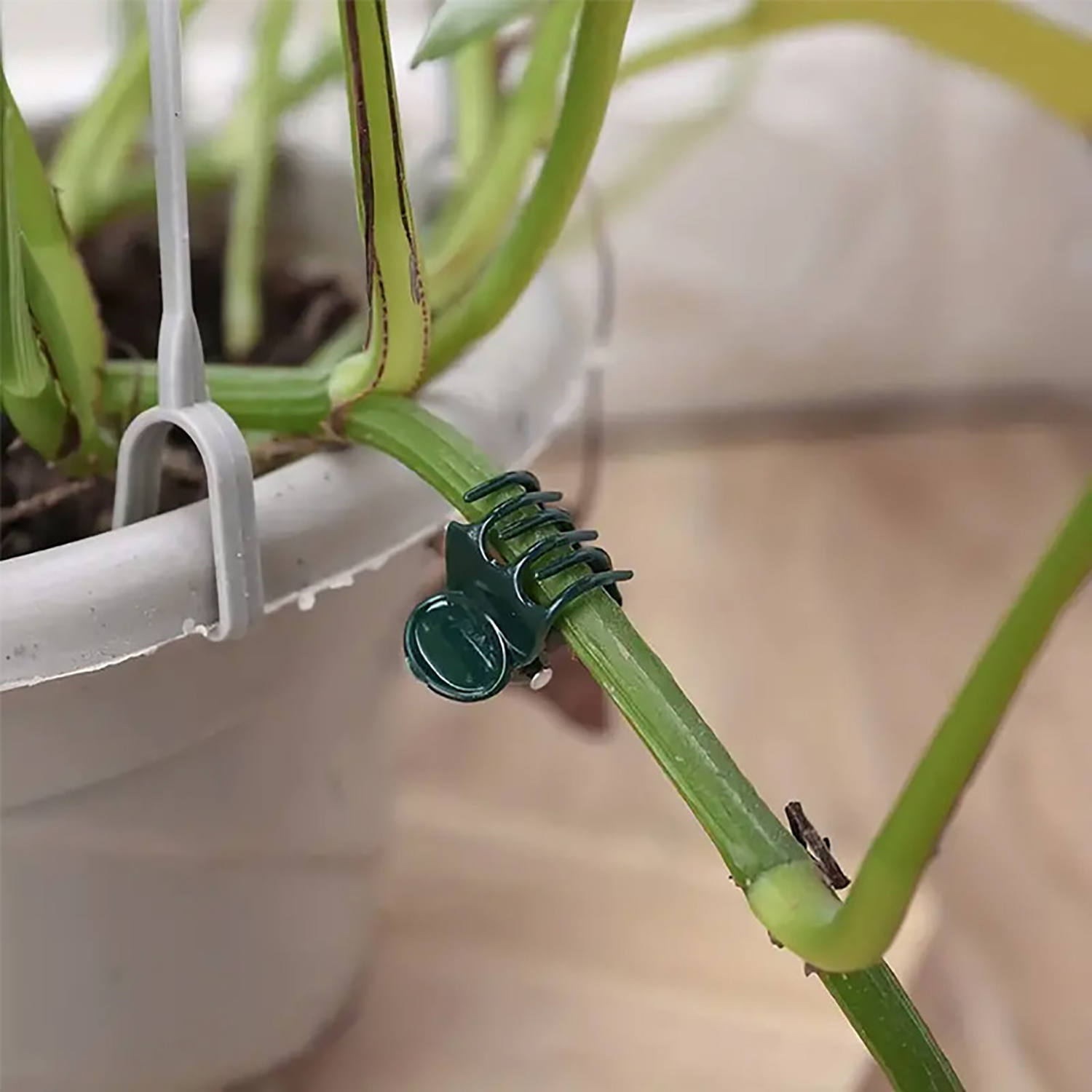 50/100Pcs Plant Clips Butterfl - Florist Supp incelemesi ve fiyatı