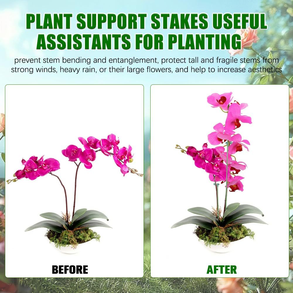 5/10PCS Plant Supports Stand B - Florist Supp incelemesi ve fiyatı