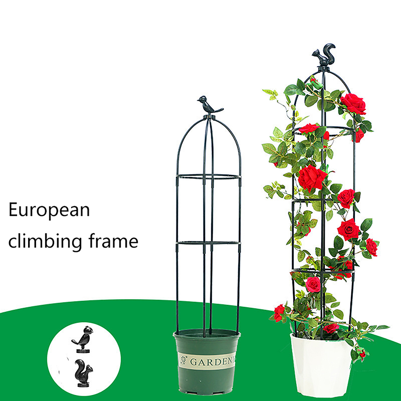 C 1Set Climbing Plant Trellis  - Florist Supp incelemesi ve fiyatı
