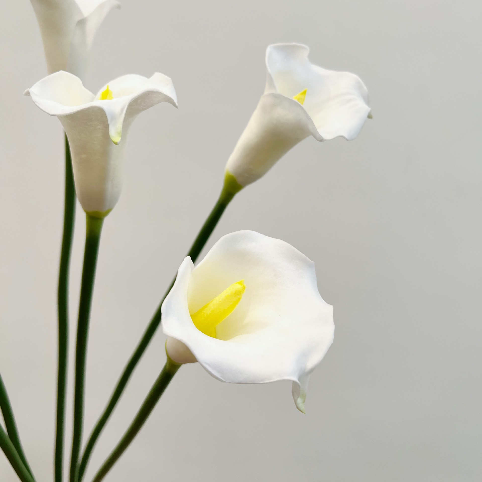 26 Inch Single Stem Crescent C - Florist Supp incelemesi ve fiyatı