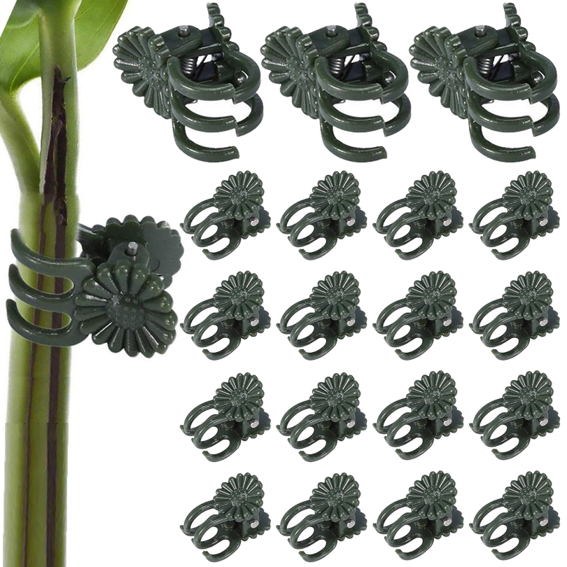 20/50/100PCS Plant Clips Vine  - Florist Supp incelemesi ve fiyatı