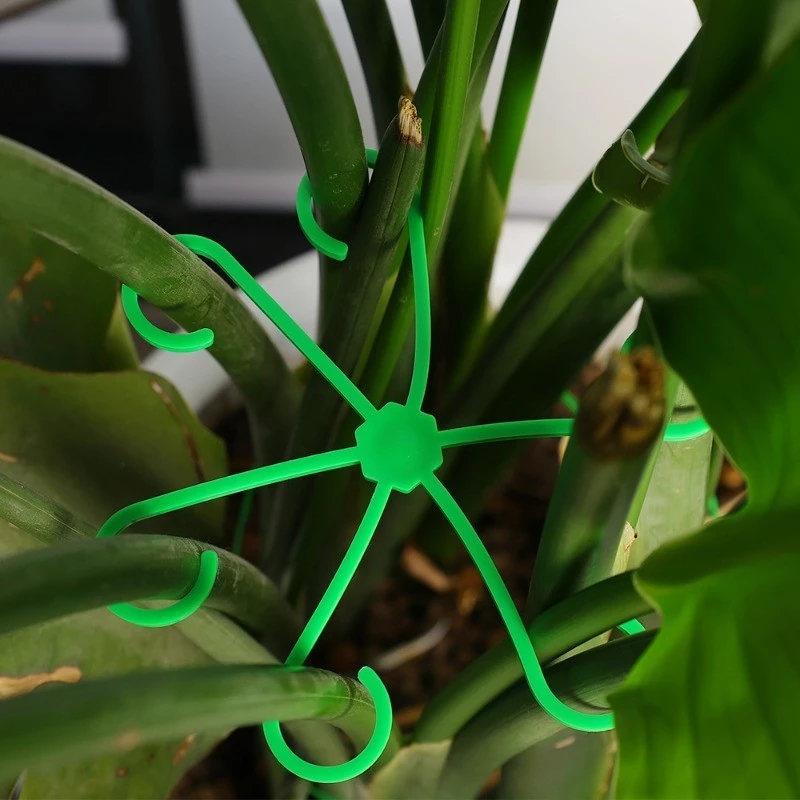 4pcs Plant Stem Support Clips  - Florist Supp incelemesi ve fiyatı