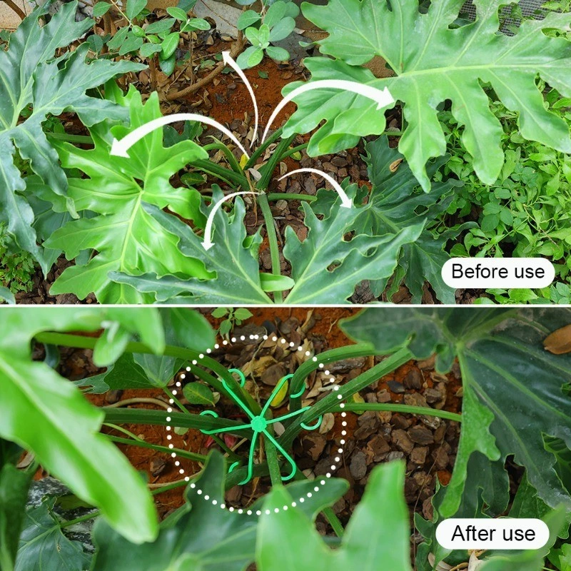 4pcs Plant Stem Support Clips  - Florist Supp incelemesi ve fiyatı