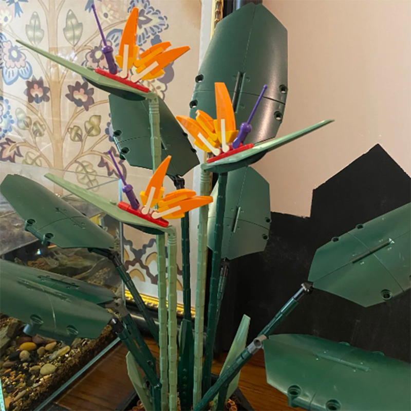 1378PCS Paradise Bird Potted P - Florist Supp incelemesi ve fiyatı